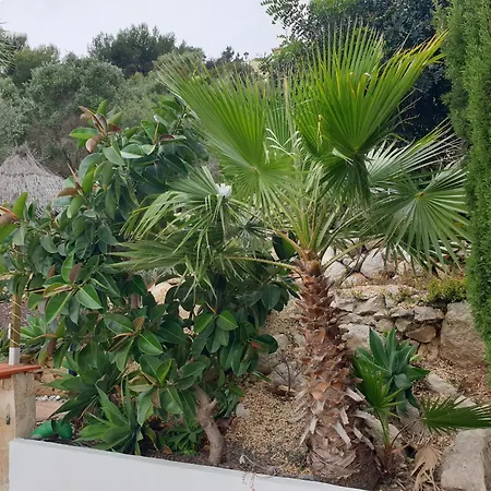 Casa Ciara